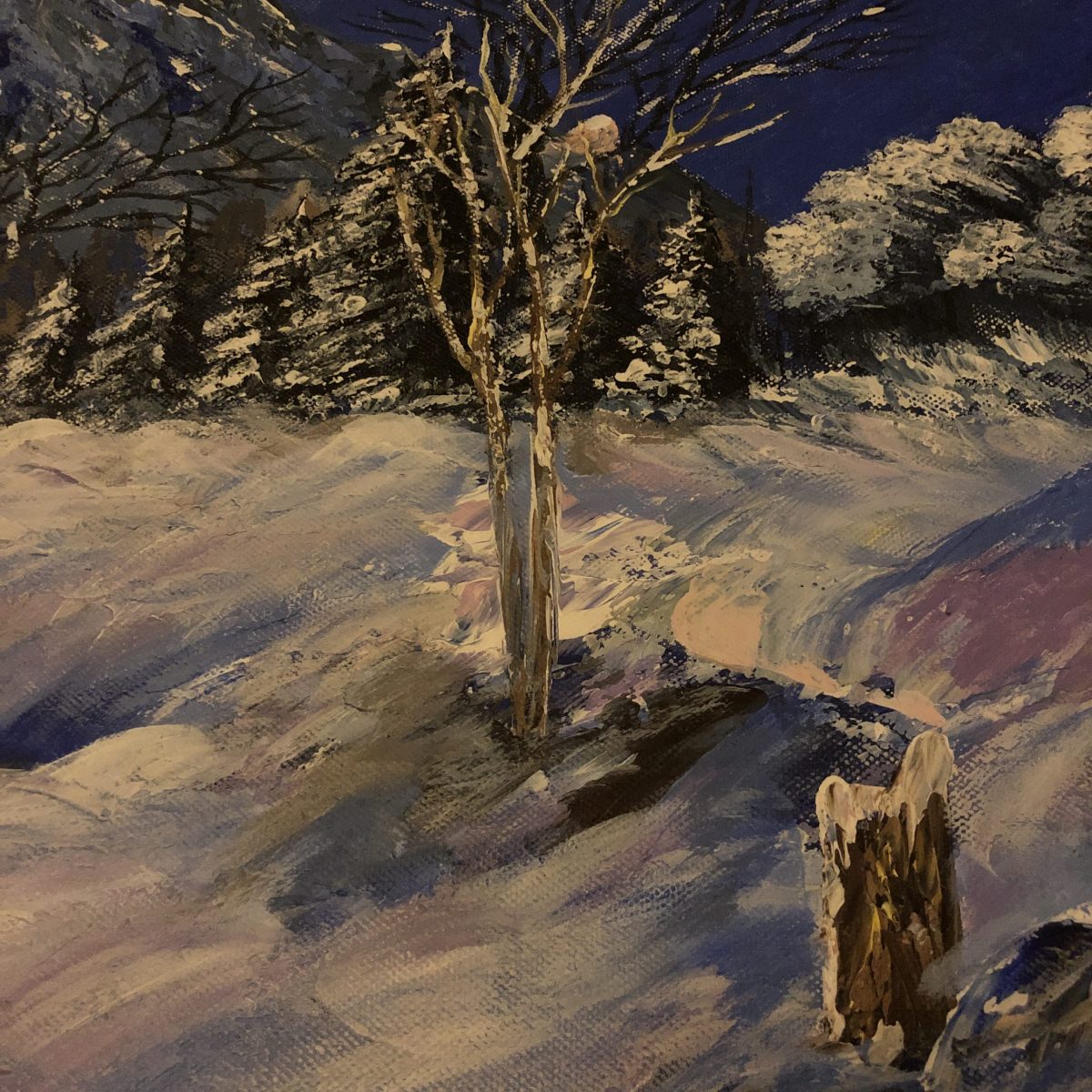 a snowy ewening plan sur l'arbre enneigé