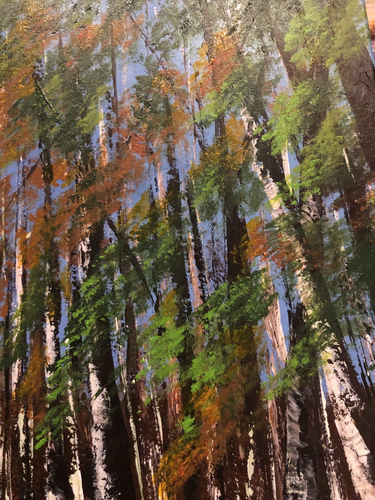 "Forêt Domaniale de Sault à l'automne", feuillages
